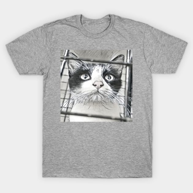 SELFIE CAT BLACK AND WHITE T-Shirt by CATUNIVERSE